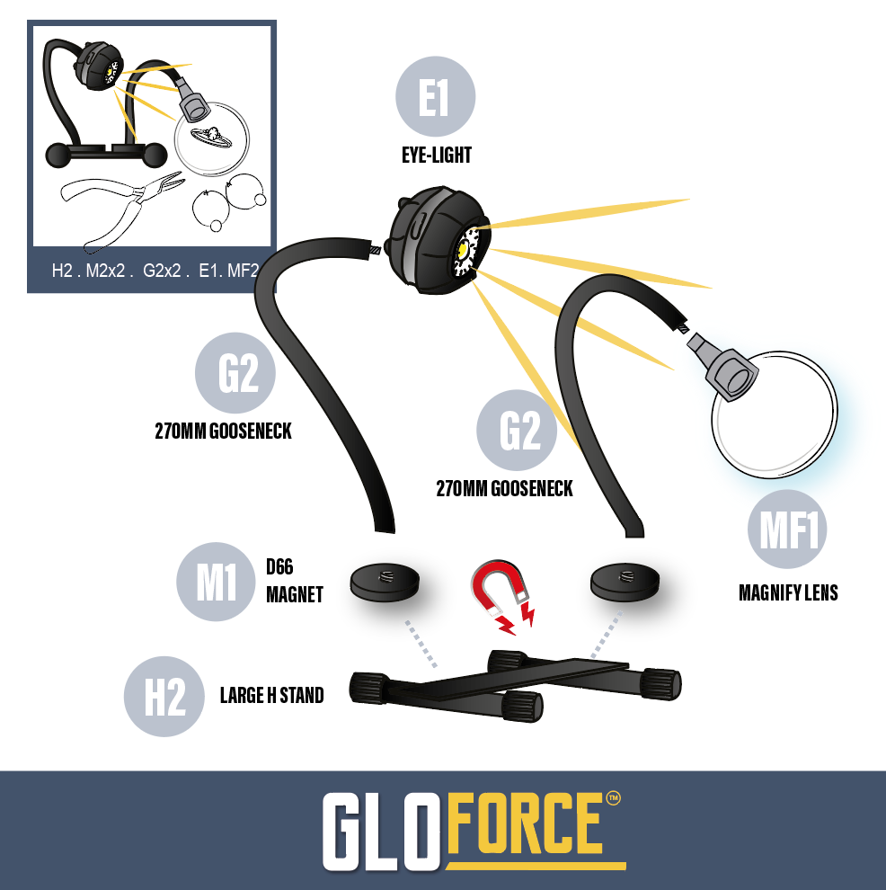 Gloforce Combo Kit 1 lampe loupe MF1 2,5x lumière du jour