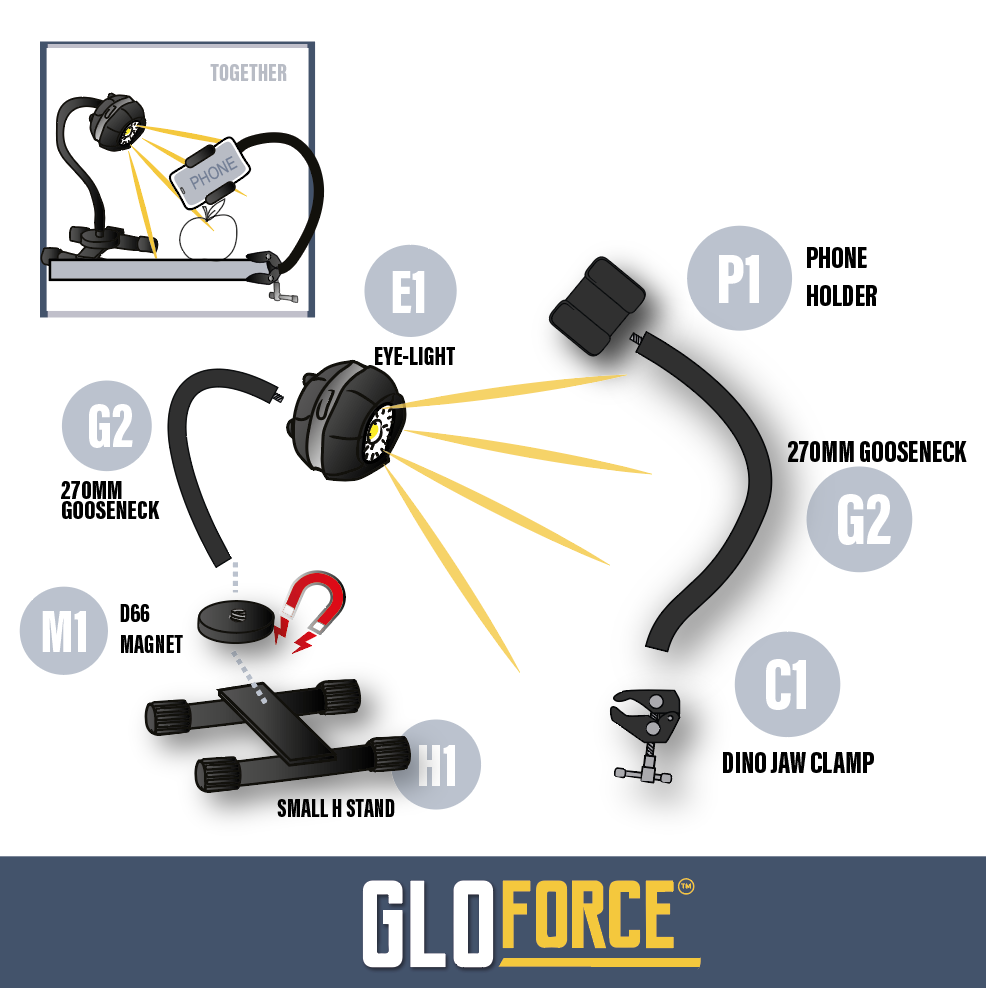 GLOFORCE COMBO FULL Kit complet lampe supports peinture