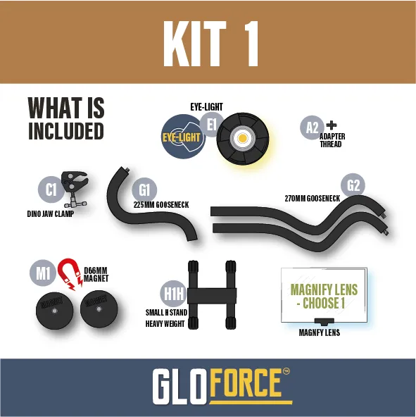 Gloforce Combo Kit 1 lampe loupe MF1 2,5x lumière du jour
