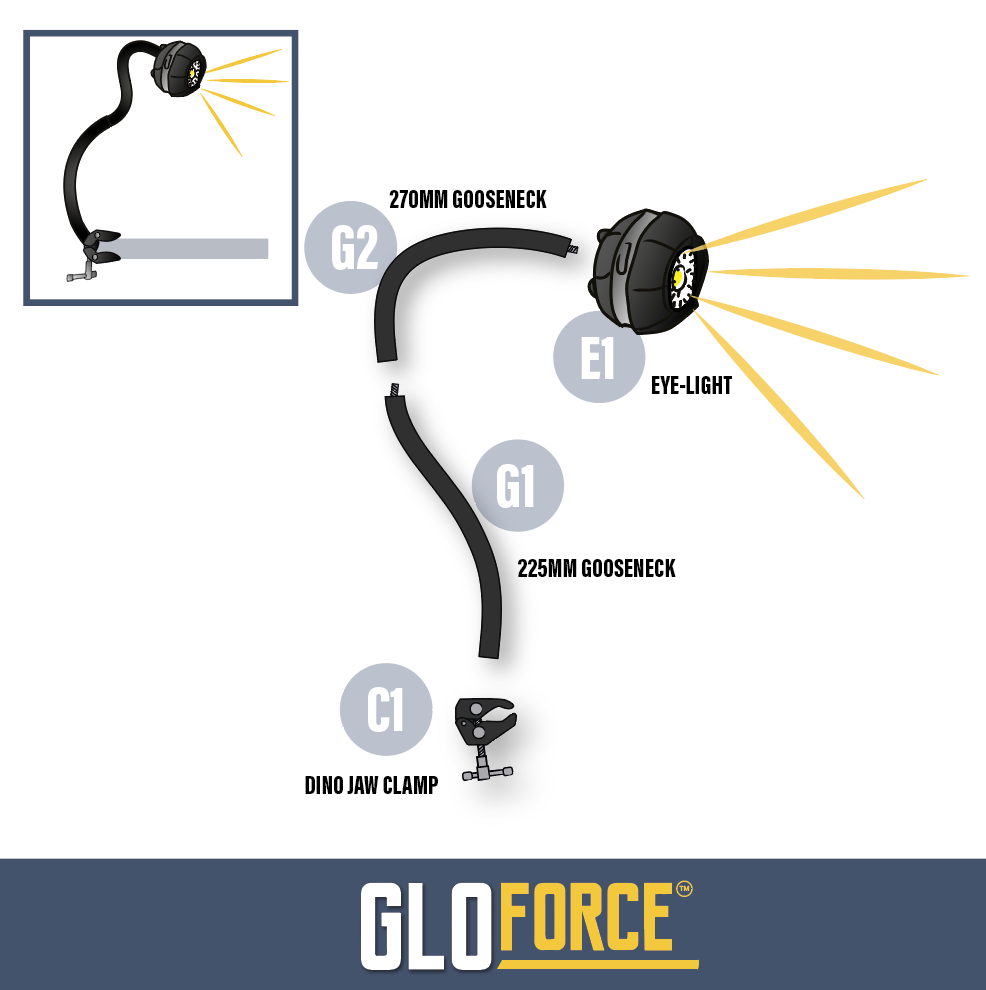 Gloforce Combo Kit 1 lampe loupe MF1 2,5x lumière du jour