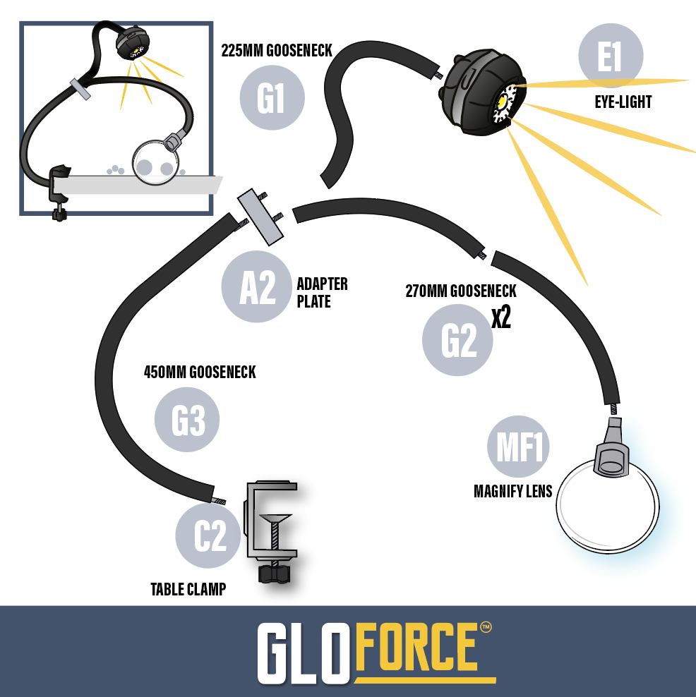 GLOFORCE COMBO FULL Kit complet lampe supports peinture
