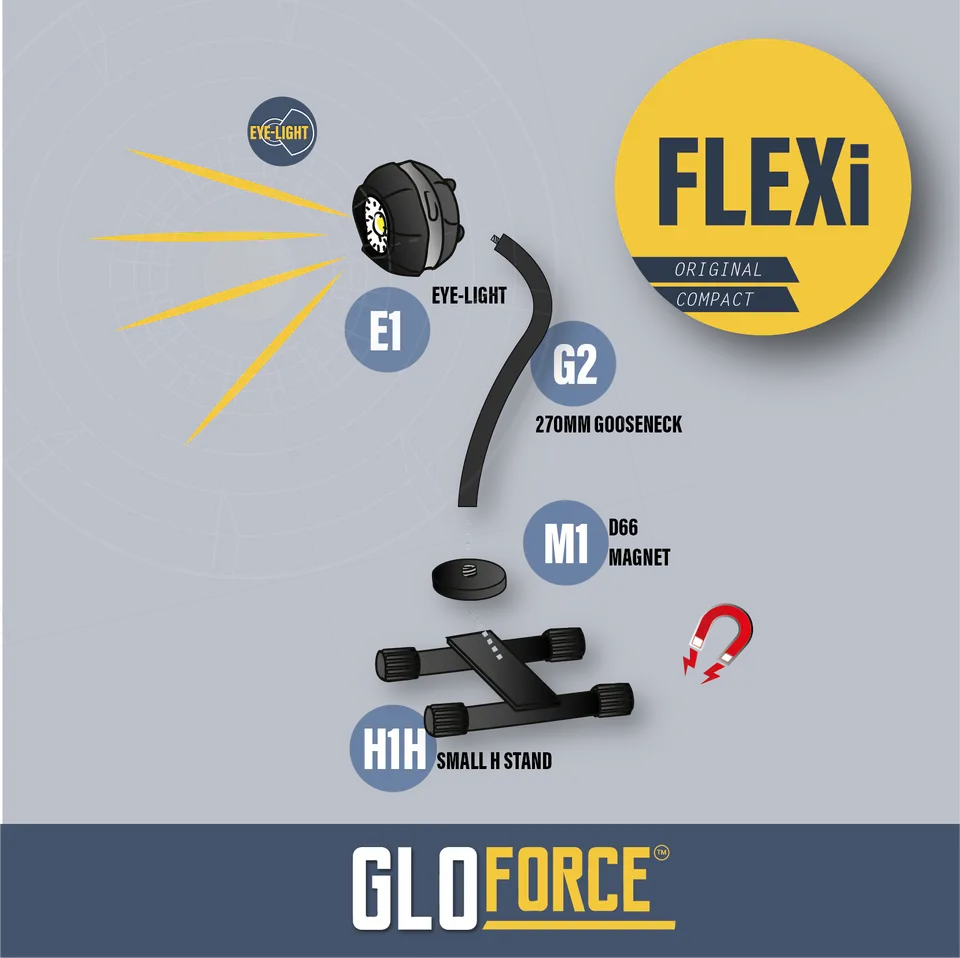 Gloforce Flexi Kit lampe Eye-Light 1000 lumens lumière du jour