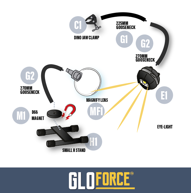 Gloforce Combo Kit 1 lampe loupe MF1 2,5x lumière du jour